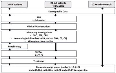 Circulatory microRNAs and proinflammatory cytokines as predictors of lupus nephritis